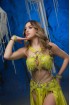 Professional bellydance costume (classic 415 a-available)